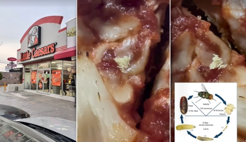 Pizza de Little Caesars con huevos de mosca causa indignación y se vuelve viral en TikTok