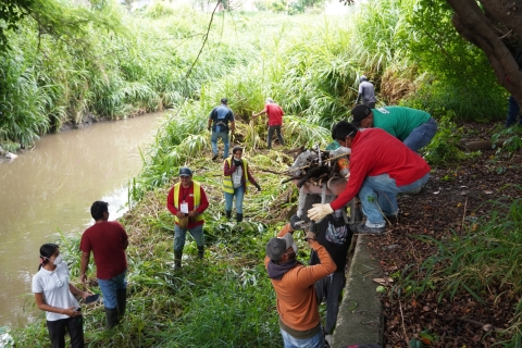 Realiza Emiliano Zapata limpieza del río Apatlaco y retiro de árbol caído