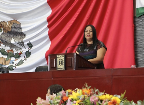 Presenta diputada Jazmín Solano iniciativa para armonizar legislación local en materia de violencia feminicida