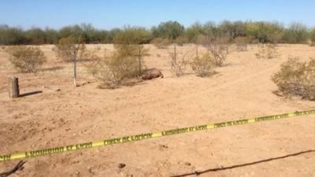 Ola de calor cobra la vida de su primer víctima en Sonora