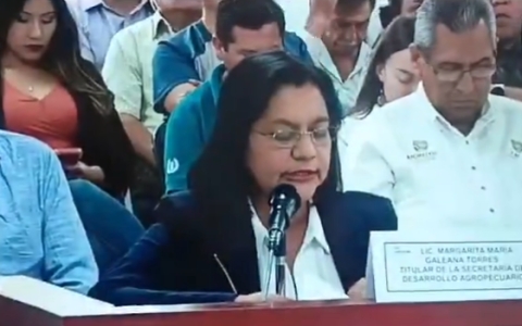 Comparece titular de Sedagro ante el Congreso del estado