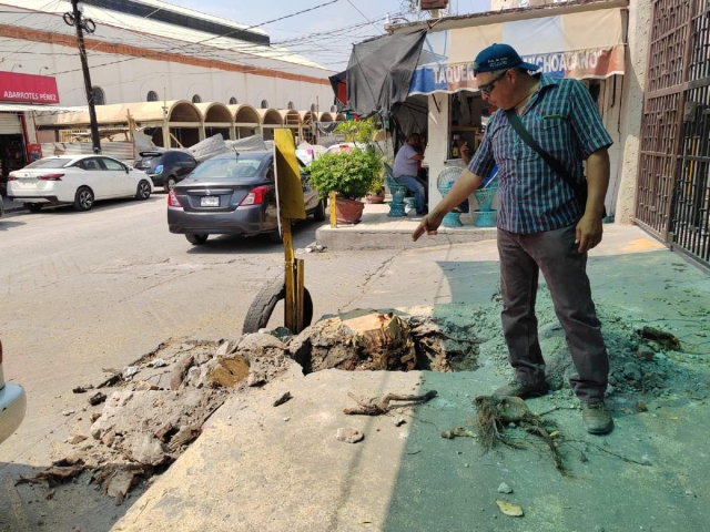 El párroco de la iglesia descubrió que las raíces de los ficus deterioraron las redes de agua potable y aguas negras y ya se estaban mezclando, generando potencial riesgo de contaminación.