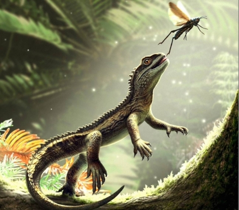 Reconstrucción artística del lagarto. 