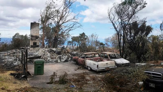 Fallecen dos mexicanos durante incendios en Maui, Hawái