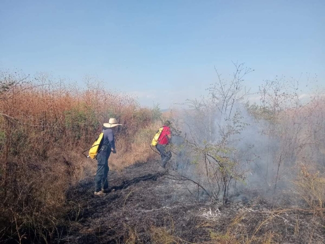 El incendio se registró en la zona conocida como “La Cúpula”.