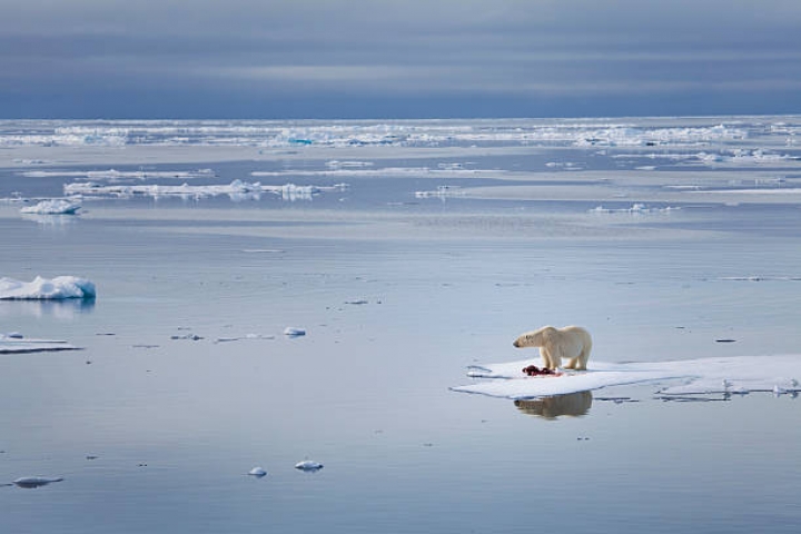 El cambio climático provocará heladas cada vez más intensas