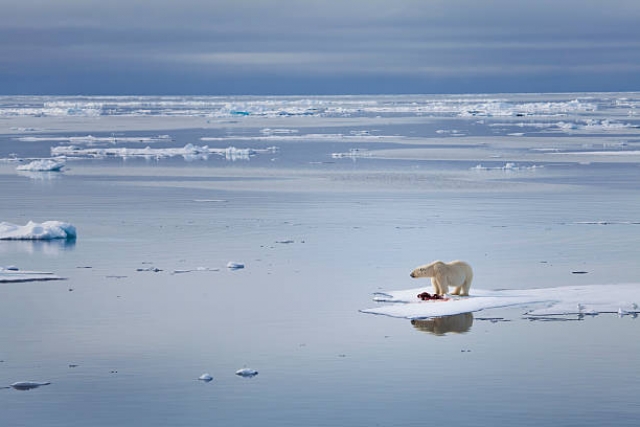 El cambio climático provocará heladas cada vez más intensas