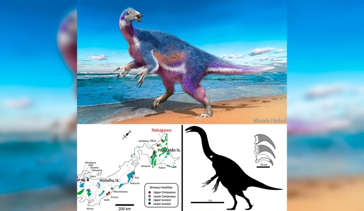 Descubren una nueva especie de dinosaurio en Japón