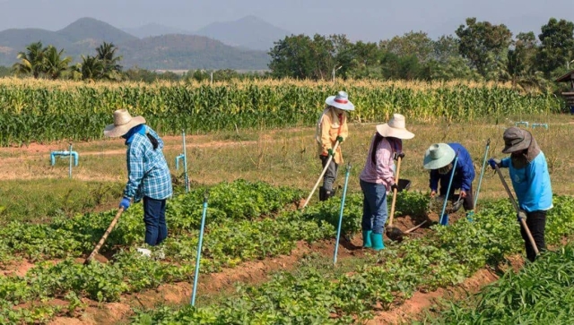 Prácticas agrícolas de los nativos americanos podrían ayudar a alimentar un mundo cada vez más caliente