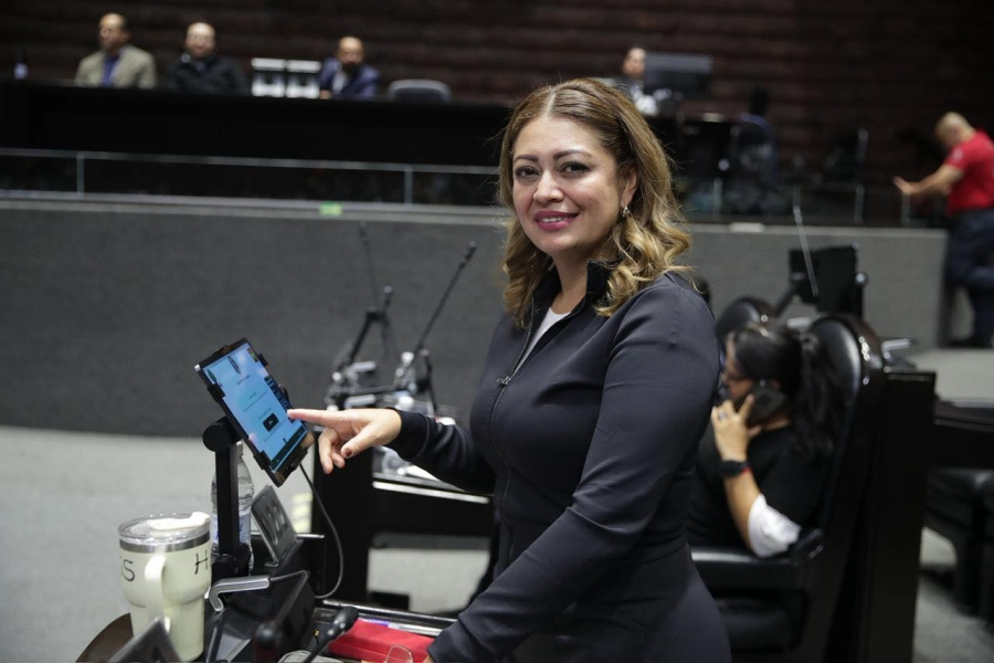 Diputada propone Día Nacional del Bienestar; coincide con cumpleaños de AMLO