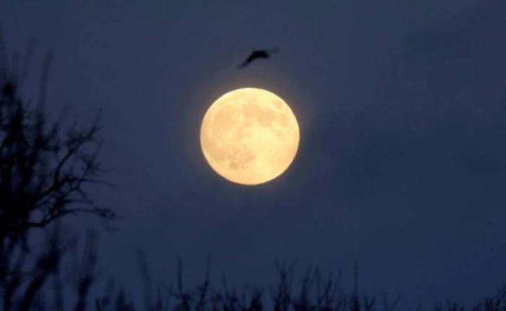 Tú y yo viendo una lluvia de meteoritos: Estos son los eventos astronómicos de abril