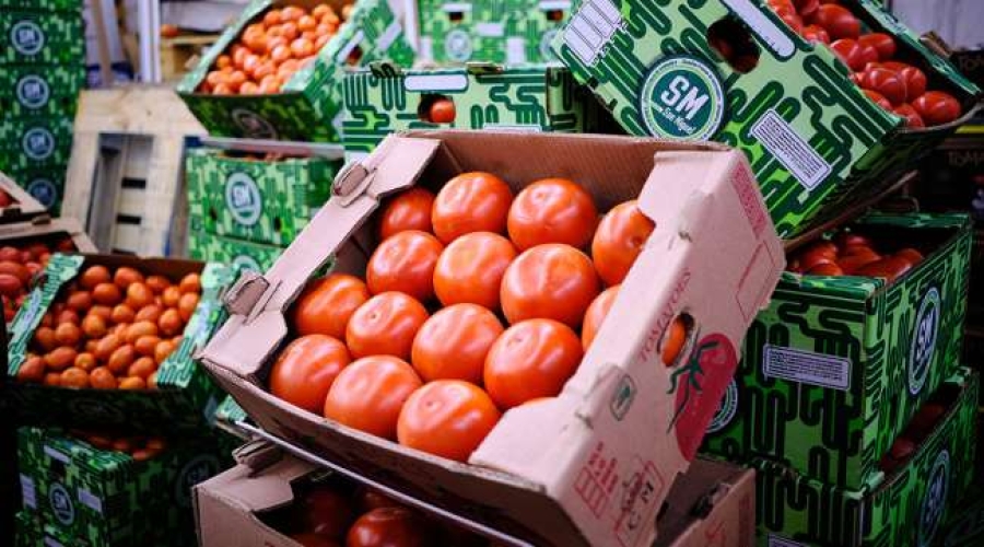 Florida celebra arancel al tomate mexicano; Texas y Arizona advierten impacto