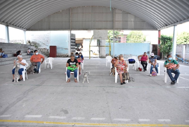 4 gatos y 19 perros fueron esterilizados durante la primera jornada.