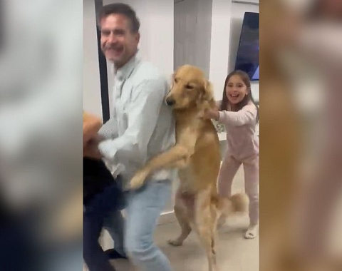 Golden retriever se une al baile familiar y se vuelve viral en redes sociales Captura de pantalla
